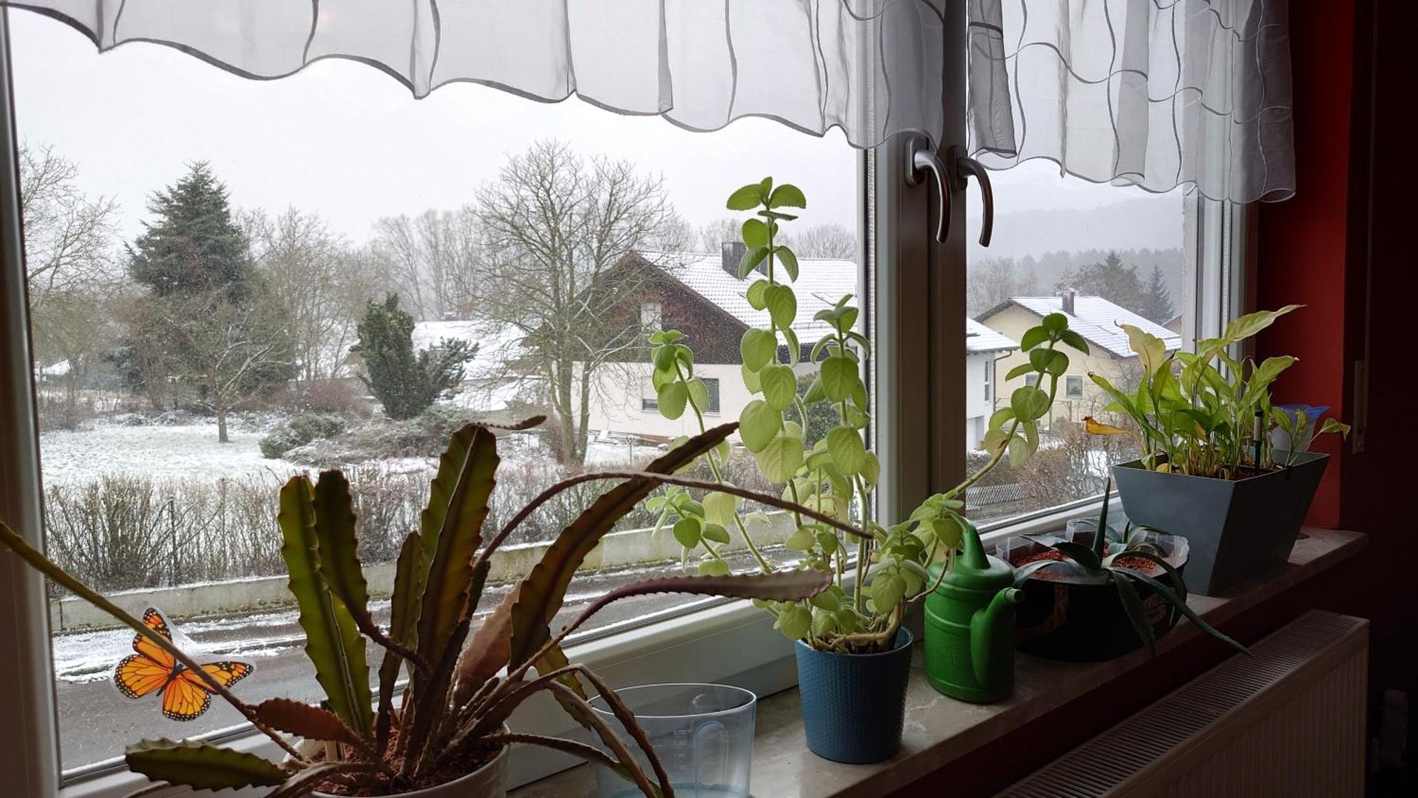 Ferienwohnung Rackl Furth im Wald Exterior foto